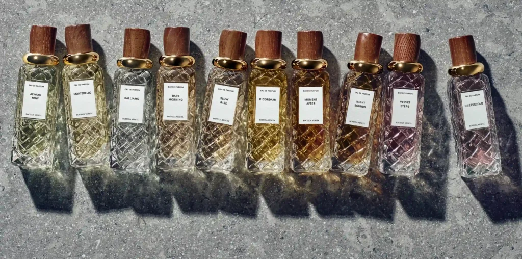 Image of the Bottega Veneta Alta Collection